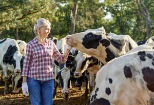 A female farmer patting a cow