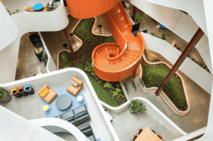 Novelli Auckland office in the B:Hive office building