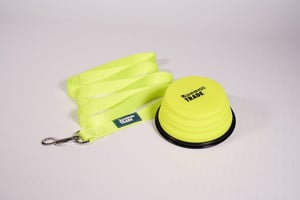 Bunnings Trade fluoro dog accessories by Novelli